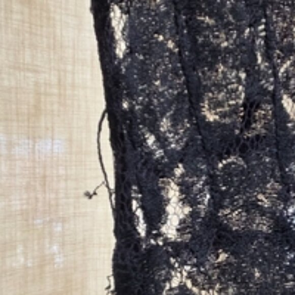 Vintage Elegant Black Sleeveless Lace Dress Or Negligee (Needs a little TLC) - Picture 4 of 16